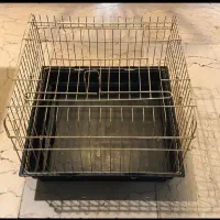 قفس خرگوش یا خوکچه هندی کاملا سالم