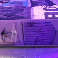 تبلت ACER - Iconia Tab M10|تبلت|کرج, گوهردشت|دیوار