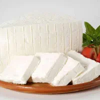 پنیر لاکتیکی درجه یک عمده