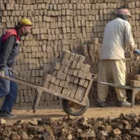 کارگر روزمزد و کارگر کنترات|خدمات حمل و نقل|گرگان, |دیوار