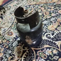 پیکنیک کوچک