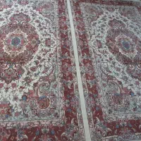 یک جفت فرش خطیبی|فرش|سهند, |دیوار
