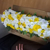 قاب گل طبیعی|گل و گیاه طبیعی|اصفهان, همدانیان|دیوار