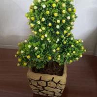 حراج وسایل منزل فقط ۱۰۰ هزار|حراج|نسیمشهر, |دیوار