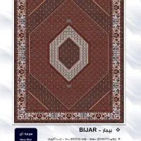 کناره های ریز ماهی درجه یک موجود در تمام سایز ها