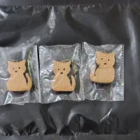 جا سویچی گربه