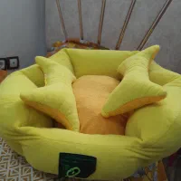 باکس حیوانات|لوازم جانبی حیوانات|رشت, پیرسرا|دیوار