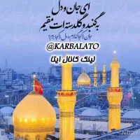 کربلا فقط ۳ ملیون تومان|تور و چارتر|رشت, یخسازی|دیوار