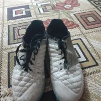 کفش لونارگتو