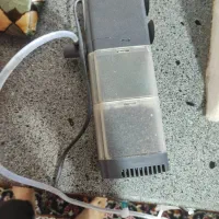 اکواریوم با ماهی معاوضه با پرنده|ماهی|خواف, |دیوار