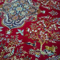 دومدل فرش ۱۲متری ورق بزنید|فرش|بردسکن, |دیوار