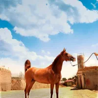اسب مادیون|اسب و تجهیزات اسب‌سواری|اصفهان, کوی امیریه|دیوار