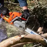 خرید انوع چوب با بهترین قیمت (هرس رایگان درخت ها)