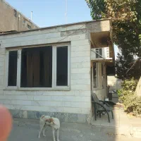 12000مترچادیواربا10مغازه براصلی جاده ساوه نعمتآباد|فروش مغازه و غرفه|تهران, نعمت‌آباد|دیوار