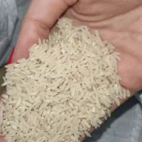 ۴۵۰،۰۰۰ تومان قیمت