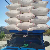 کاه گندم دیم