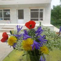 باغ-ویلا-با-فاصله-یک-ساعته-از-تهران