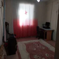 ۲ عدد فرش فانتزی ۶ متری