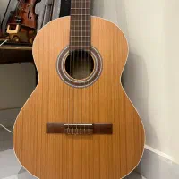 گیتار پارسی m5 / نو / همراه کیف