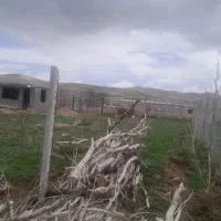 باغ|فروش دفتر صنعتی، کشاورزی، تجاری|تکاب, |دیوار