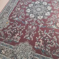 قالی