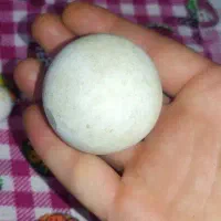 الماس آسیاب قبری شناسنامه دار