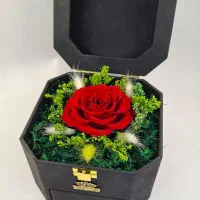 باکس گل رز جاودان هشت ضلعی چرمی کادو روز مادر|گل و گیاه طبیعی|تهران, میدان ولیعصر|دیوار