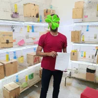 برزیلی، قناری، قفس، گرینچیک|پرنده|رشت, جانبازان|دیوار