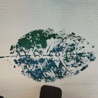 دستیار پزشک پوست و مو