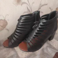 زنانه|کیف، کفش، کمربند|زرند, |دیوار