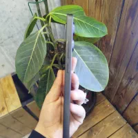 موبایل فروشی