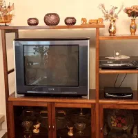 تلویزیون Sony Trinitron WEGA29|تلویزیون و پروژکتور|تهران, جماران (نیاوران)|دیوار