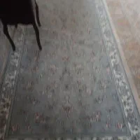 فرش 12متری هفتصد شانه در حد نو|فرش|گلپایگان, |دیوار