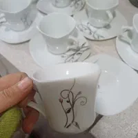 سیرویس چایی خوری با شکر پاش ولنبکی