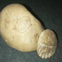 سنگ|کلکسیون اشیاء عتیقه|شیراز, دست خضر|دیوار