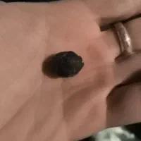 راف یاقوت طبیعی 29قیراط