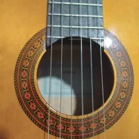 گیتار|گیتار، بیس، امپلیفایر|کرج, شاهین‌ویلا|دیوار