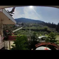 سویت ویلا جنگلی