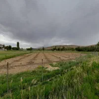 فروش باغ ۲۶۰۰ با ۴۰ متر بنا کانکسی|فروش خانه و ویلا|فیروزکوه, |دیوار