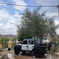 پاژن ۴ در ۶ سیلندر بدون رنگ زیر بند موسو