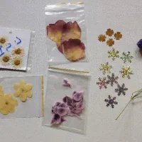 صنایع دستی(رزین)|صنایع دستی و سایر لوازم تزئینی|پیر بکران, |دیوار