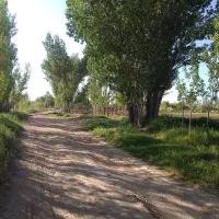 زمین ۳۵۰ متر کوشک زر