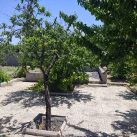 باغ|فروش دفتر صنعتی، کشاورزی، تجاری|مبارکه, |دیوار