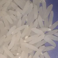 برنج فجرسوزنی درجه یک