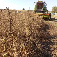 کمباین سهند