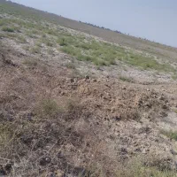 زمین|اجارهٔ دفتر صنعتی، کشاورزی، تجاری|گنبد کاووس, |دیوار