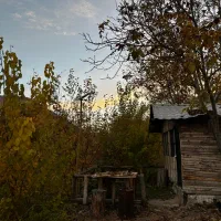 کلبه باغ سوییت|اجارهٔ کوتاهمدت ویلا و باغ|کرمانشاه, |دیوار