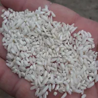 برنج حسنی|خوردنی و آشامیدنی|صومعهسرا, |دیوار