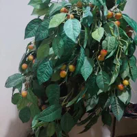 درختچه تزئینی|گل مصنوعی|کرج, گوهردشت|دیوار