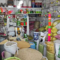 خرید و فروش انواع ارزن گندم ذرت کتان شاهدانه کبوتر